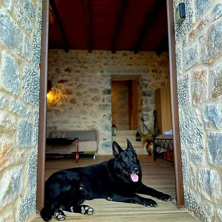 Lagadaki The Sea View Villa *