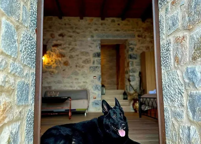 Lagadaki The Sea View Villa *